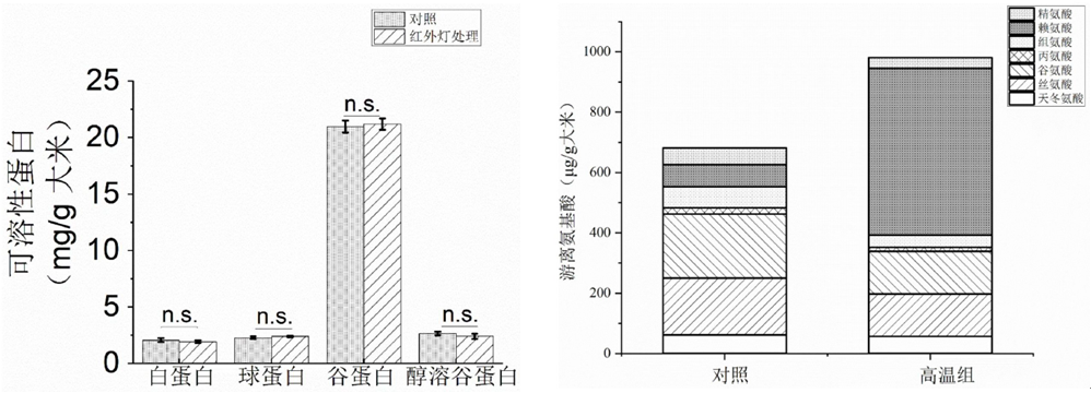 紅外輻射加熱應(yīng)用于水稻培育(圖4)